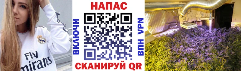 Где купить Медвежьегорск NBOMe МЕФ СОЛЬ ОМГ ОМГ ТОР АМФЕТАМИН