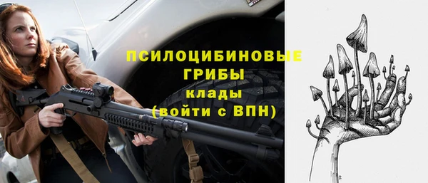 круглые Белокуриха