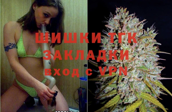 mdpv Богданович